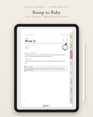 Bump to Baby: Classic Illustrated Edition (Digital Pregnancy Journal)
