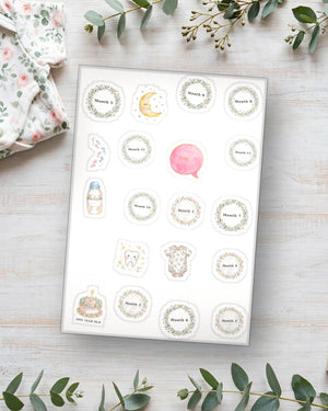 Baby's First Year Sticker Sheet