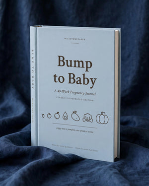 Bump to Baby: Classic Illustrated Linen Edition